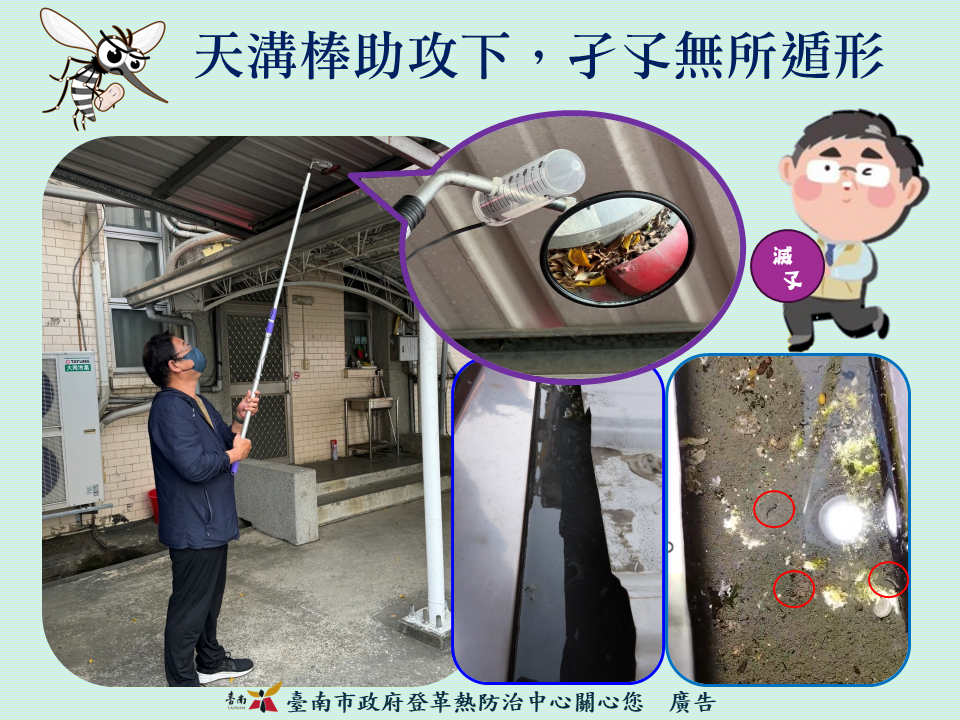 天溝棒助攻下，孑孓無所遁形